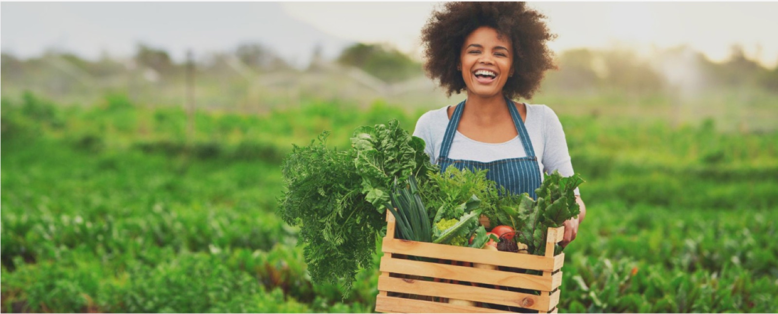Farmer with a crate of fresh vegetables
