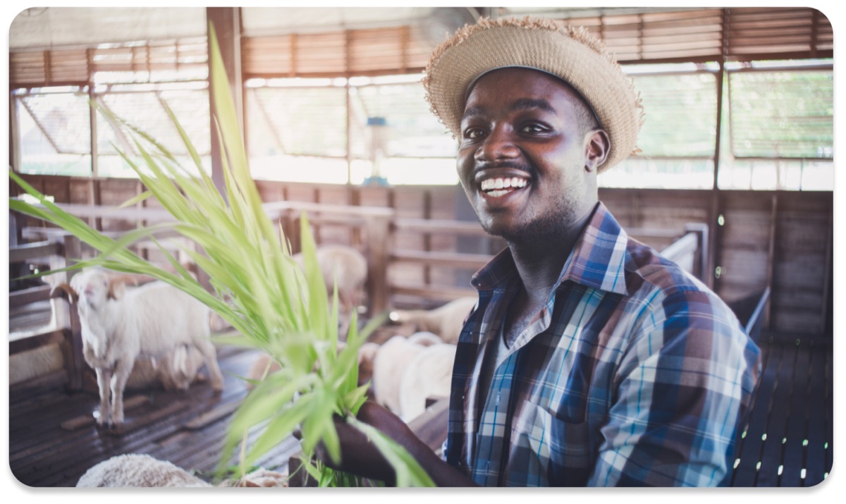 Smiling farmer tending livestock
